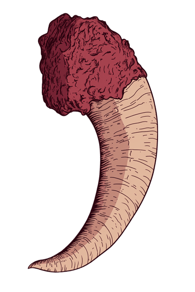 Préparation 500 - Bouse de Corne