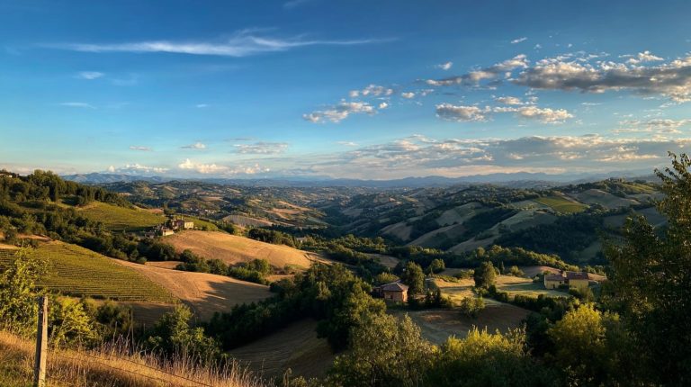 Cépages d'Émilie-Romagne : Le guide du Lambrusco, Sangiovese et Albana cépages émilie-romagne