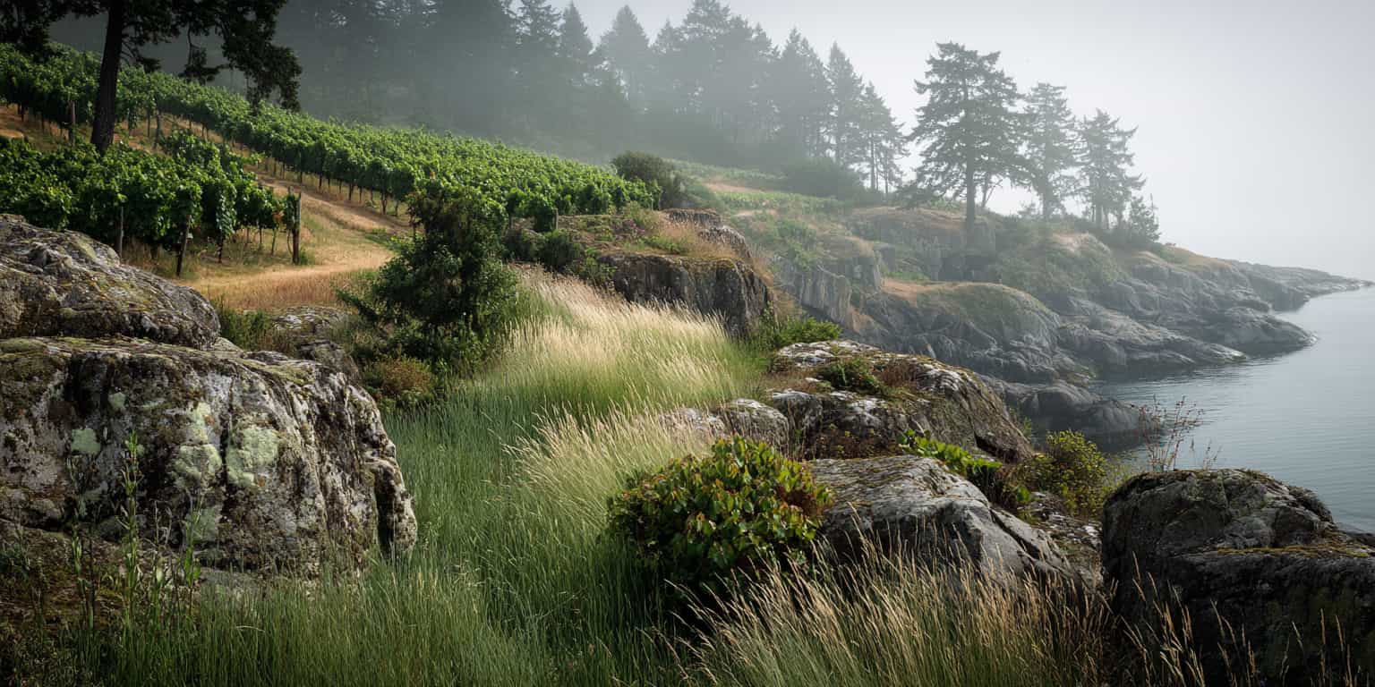 carte millesime gulf islands