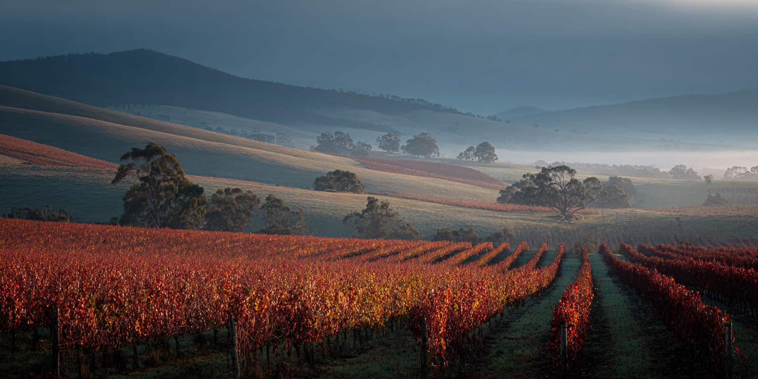 carte millesime tasmania