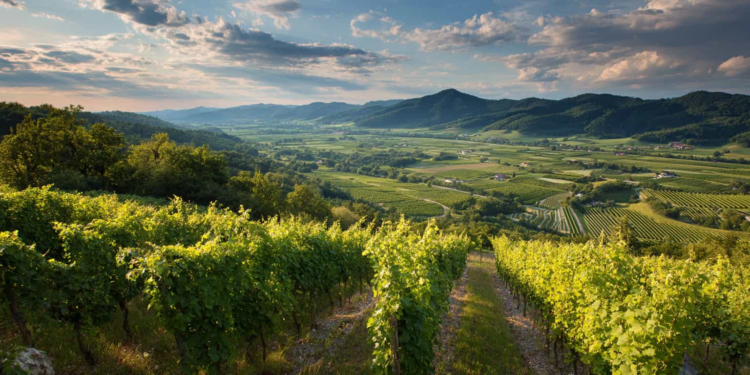 carte millesime thermenregion