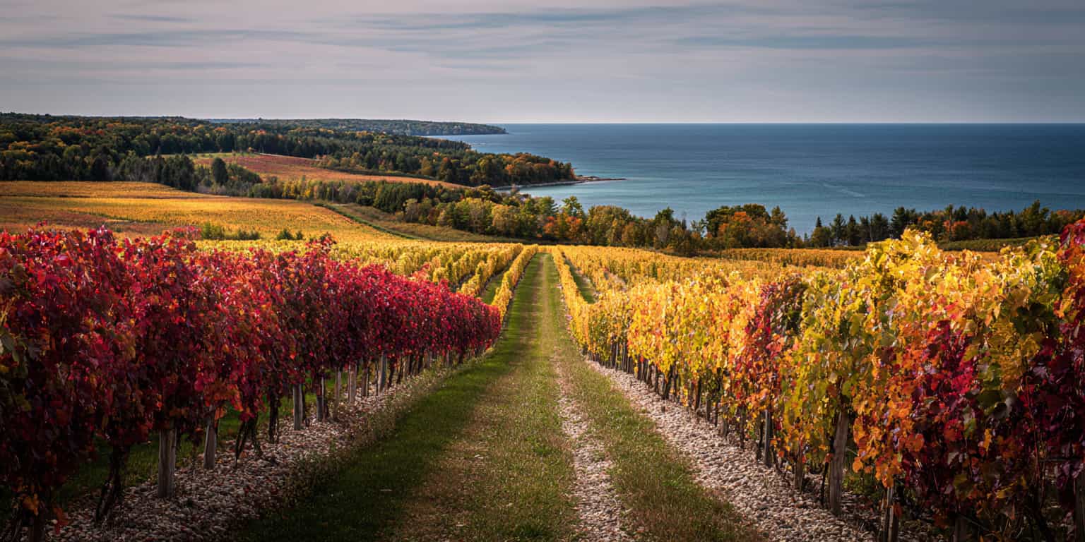 meilleur millesime lincoln lakeshore