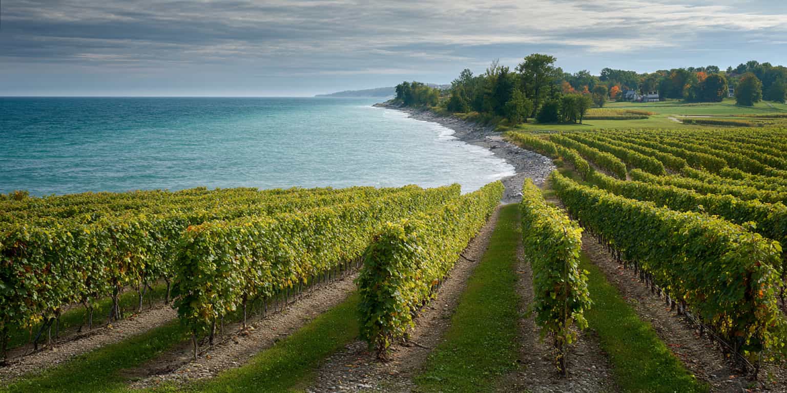 meilleur millesime niagara river