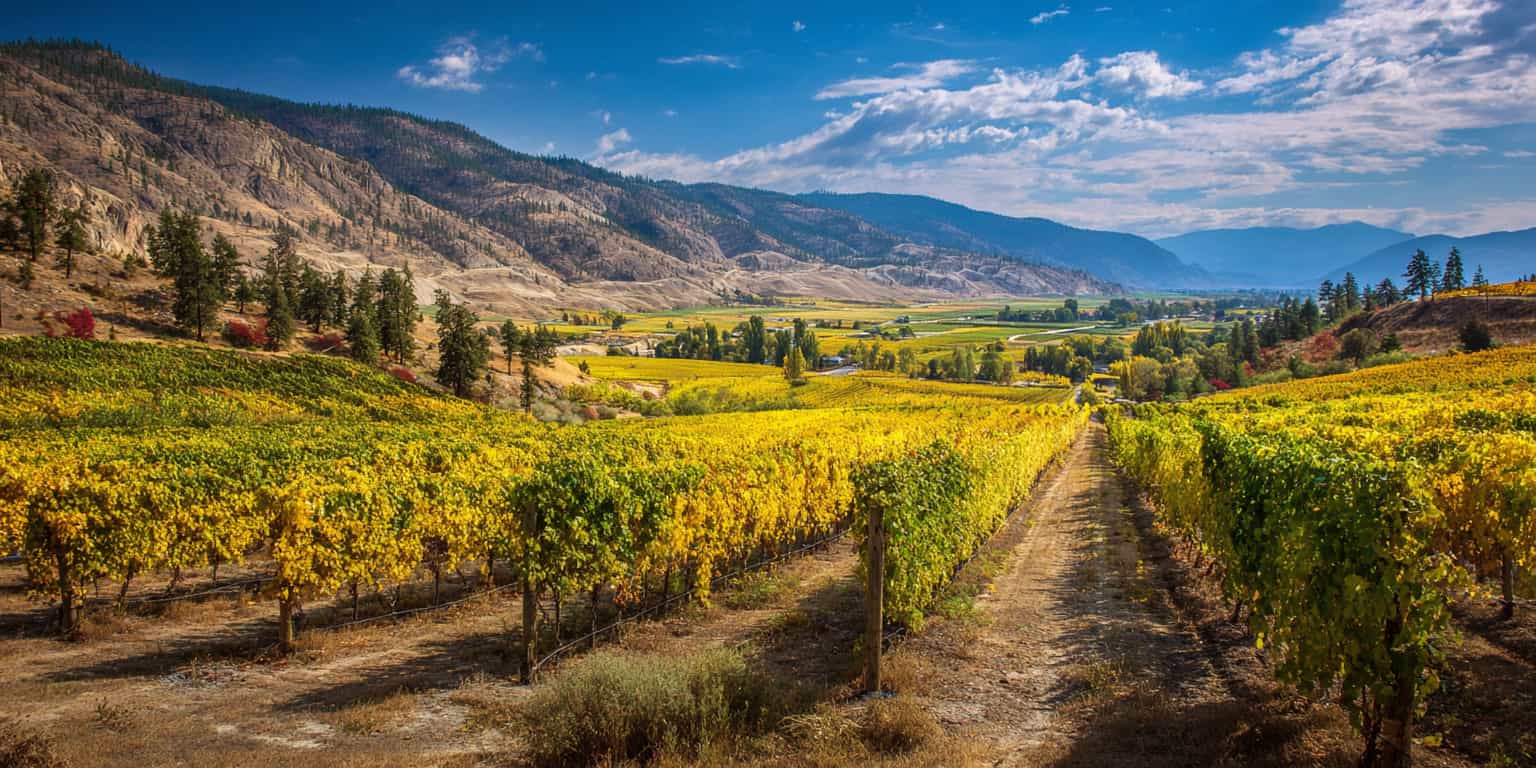 meilleure annee golden mile bench