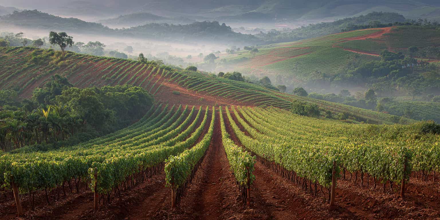 meilleure annee ip planalto catarinense