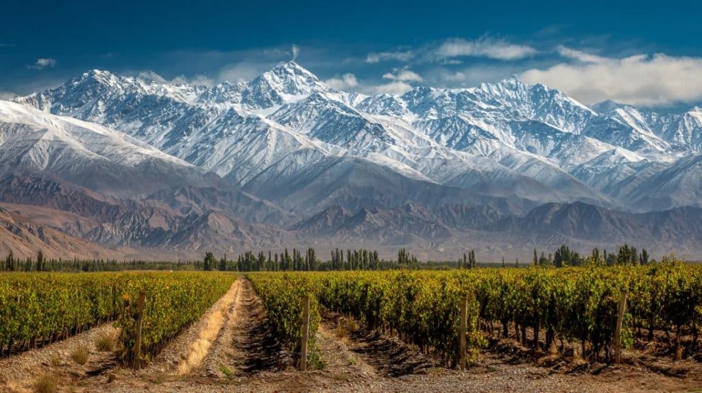 tableau millesime argentine