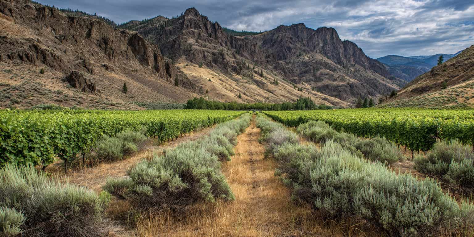 tableau millesime similkameen valley