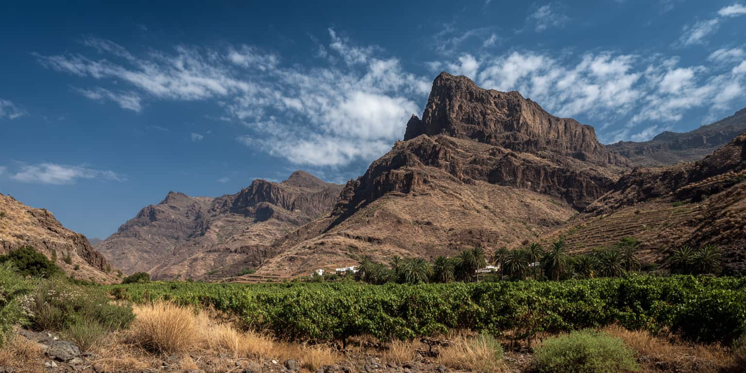 guide millesime gran canaria