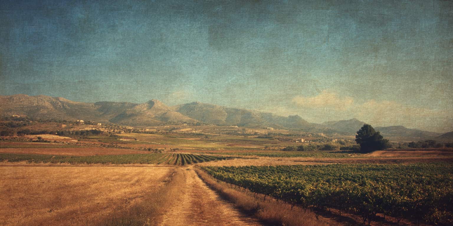 guide millesime valencia