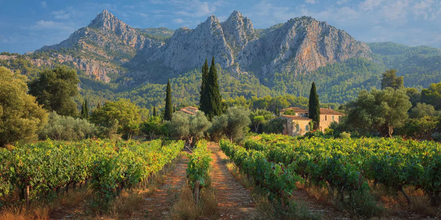 meilleur millesime binissalem