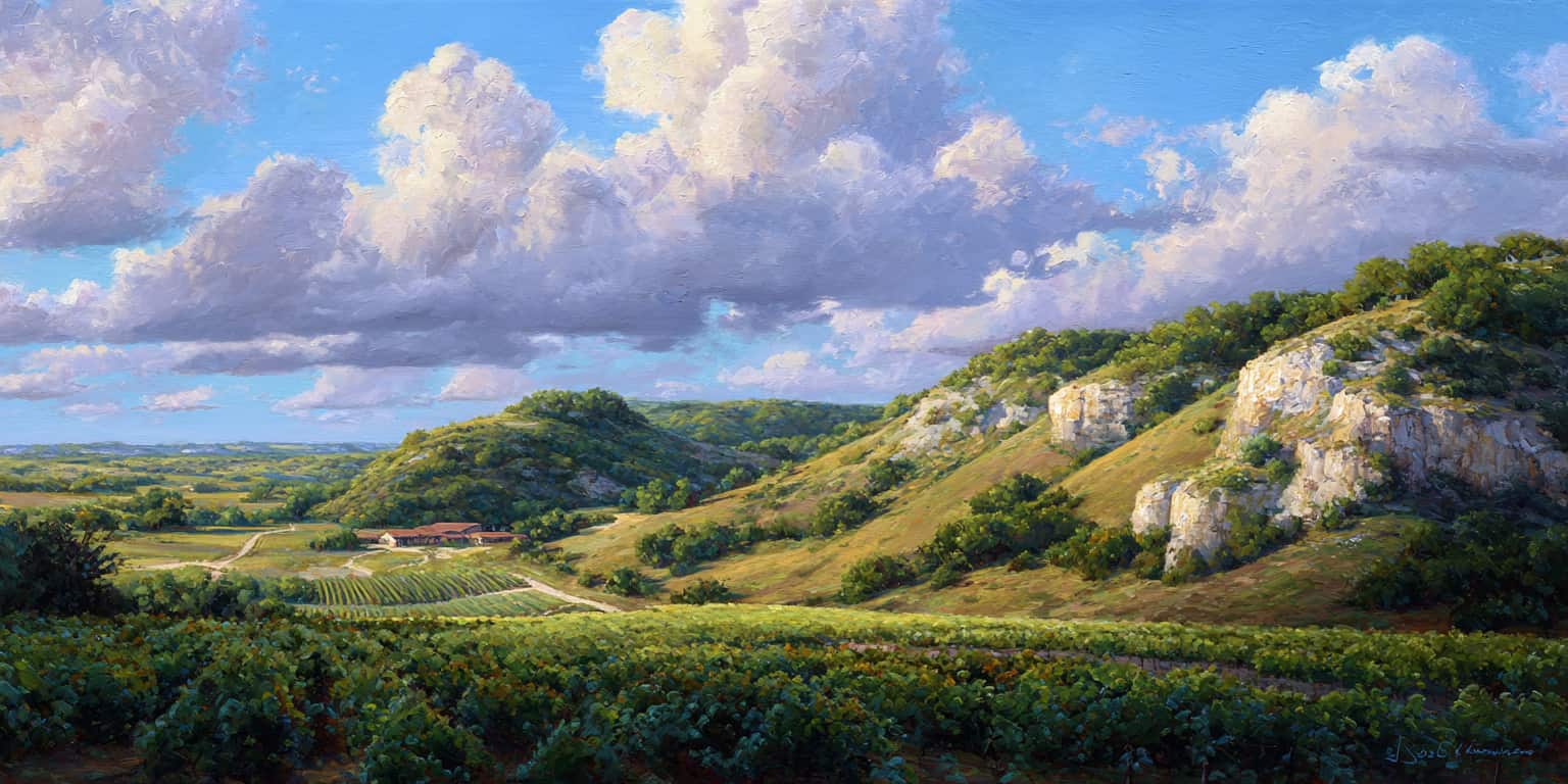 meilleur millesime texas hill country