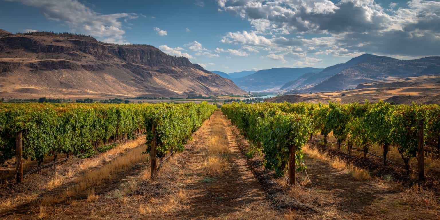 meilleure annee columbia valley