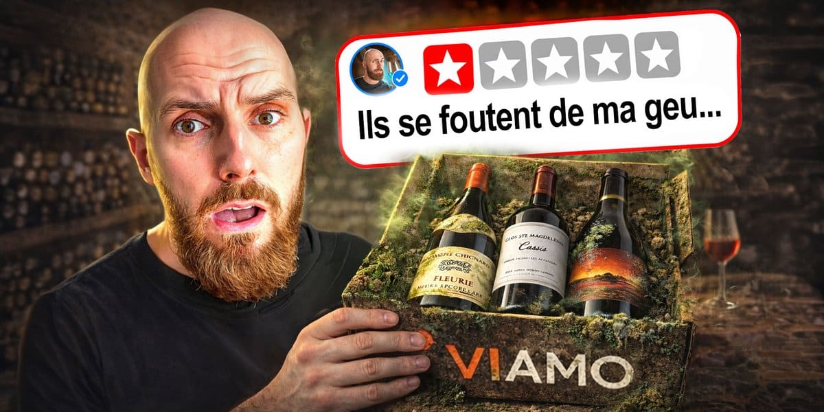 Avis Viamo : Test de la Box Vin à 99 € (Verdict Sans Filtre)