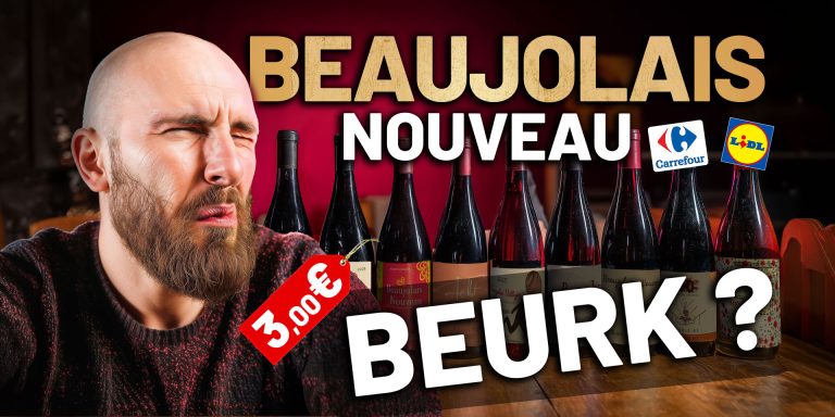 J'ai Goûté 13 Beaujolais Nouveau d'Affilée (Ça Finit Mal) beaujolais nouveau degustation