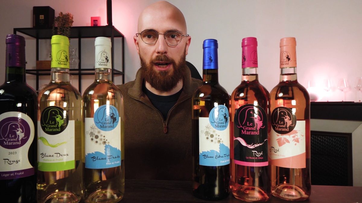Six cuvées Domaine Le Grand Marand alignées pour la dégustation