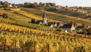 Bourgogne vignobles