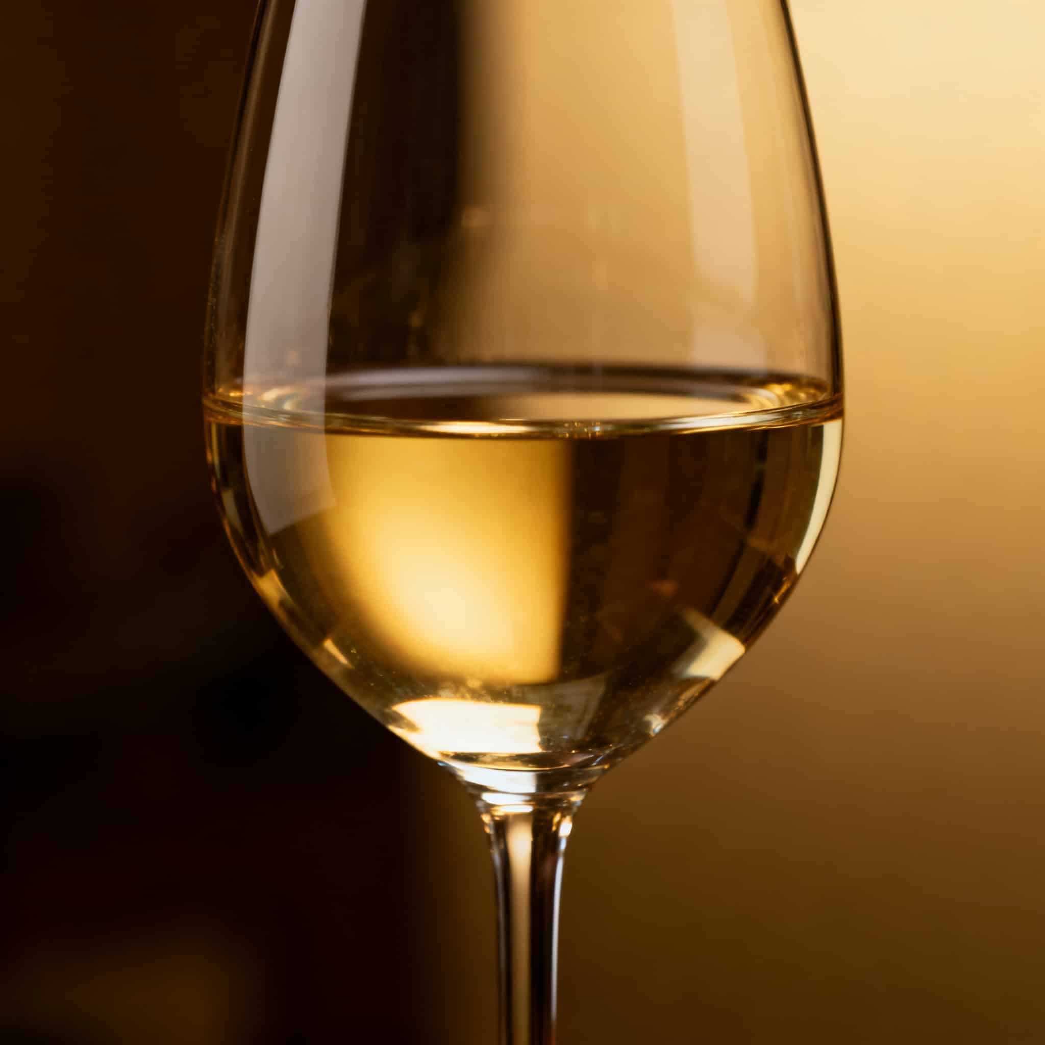 Verre de vin blanc Chardonnay de Bourgogne, dégustation en cave