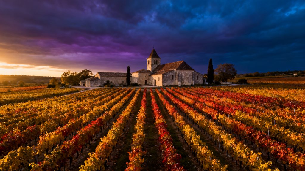 Vignoble français au coucher du soleil - rapport OIV consommation mondiale vin 2025