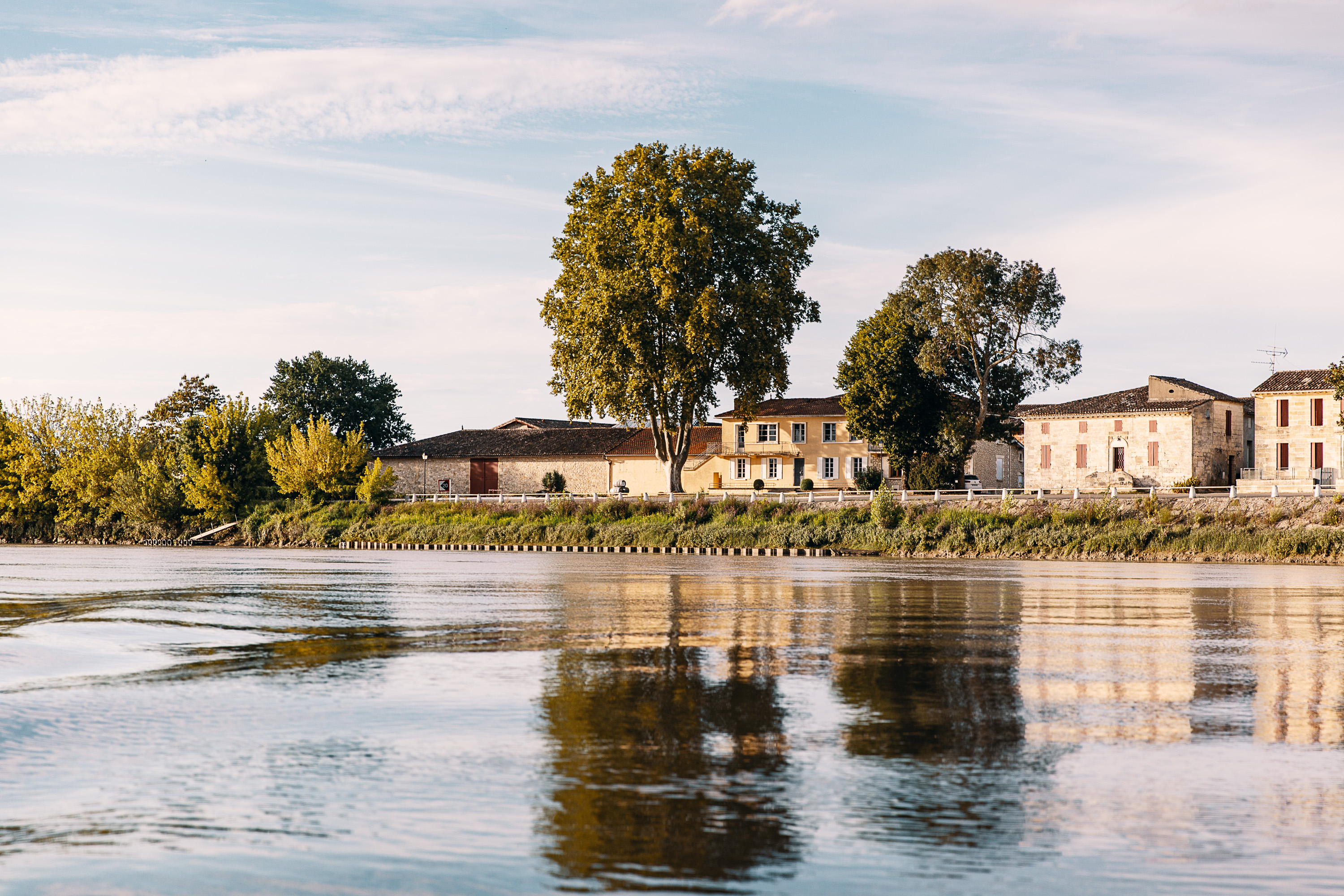 Vignoble Bardet à Vignonet, entre Saint-Émilion et Castillon Côte de Bordeaux