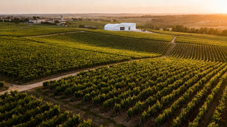 Cheval Blanc 2025 sort à 336 € : la plus petite récolte depuis 1961 et un millésime salué 96-99/100
