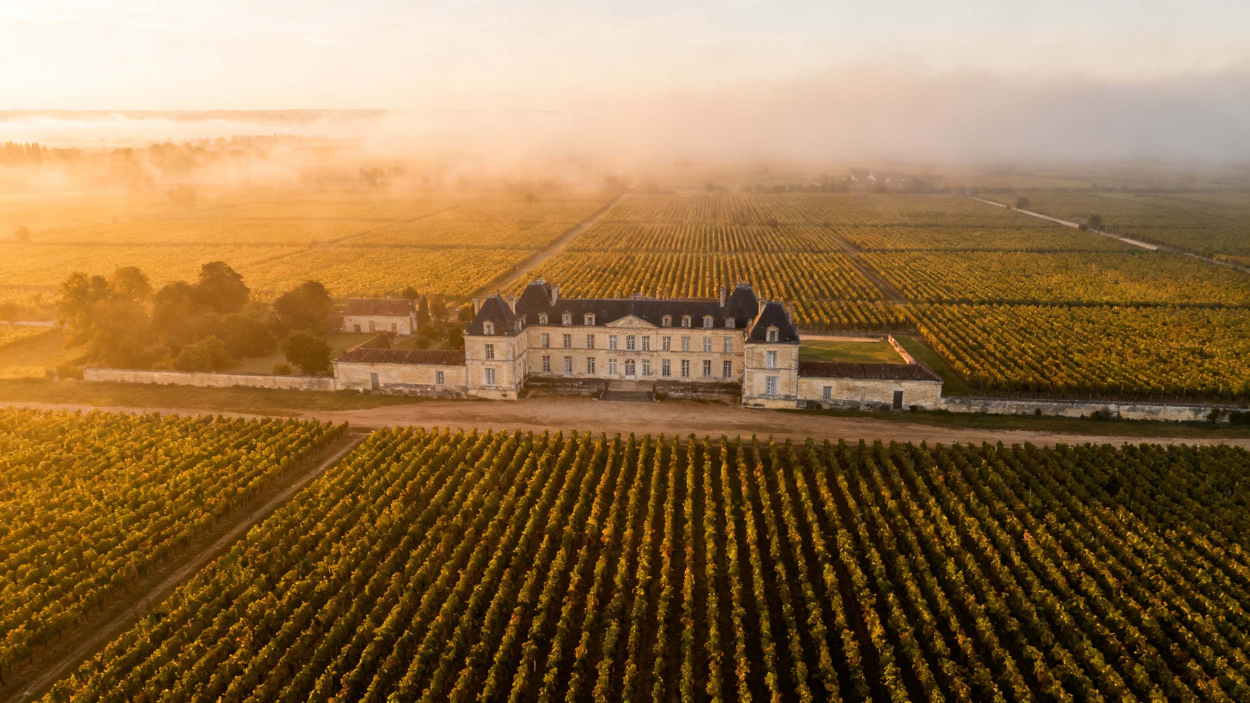 Vignoble de Bordeaux, vue aérienne Médoc
