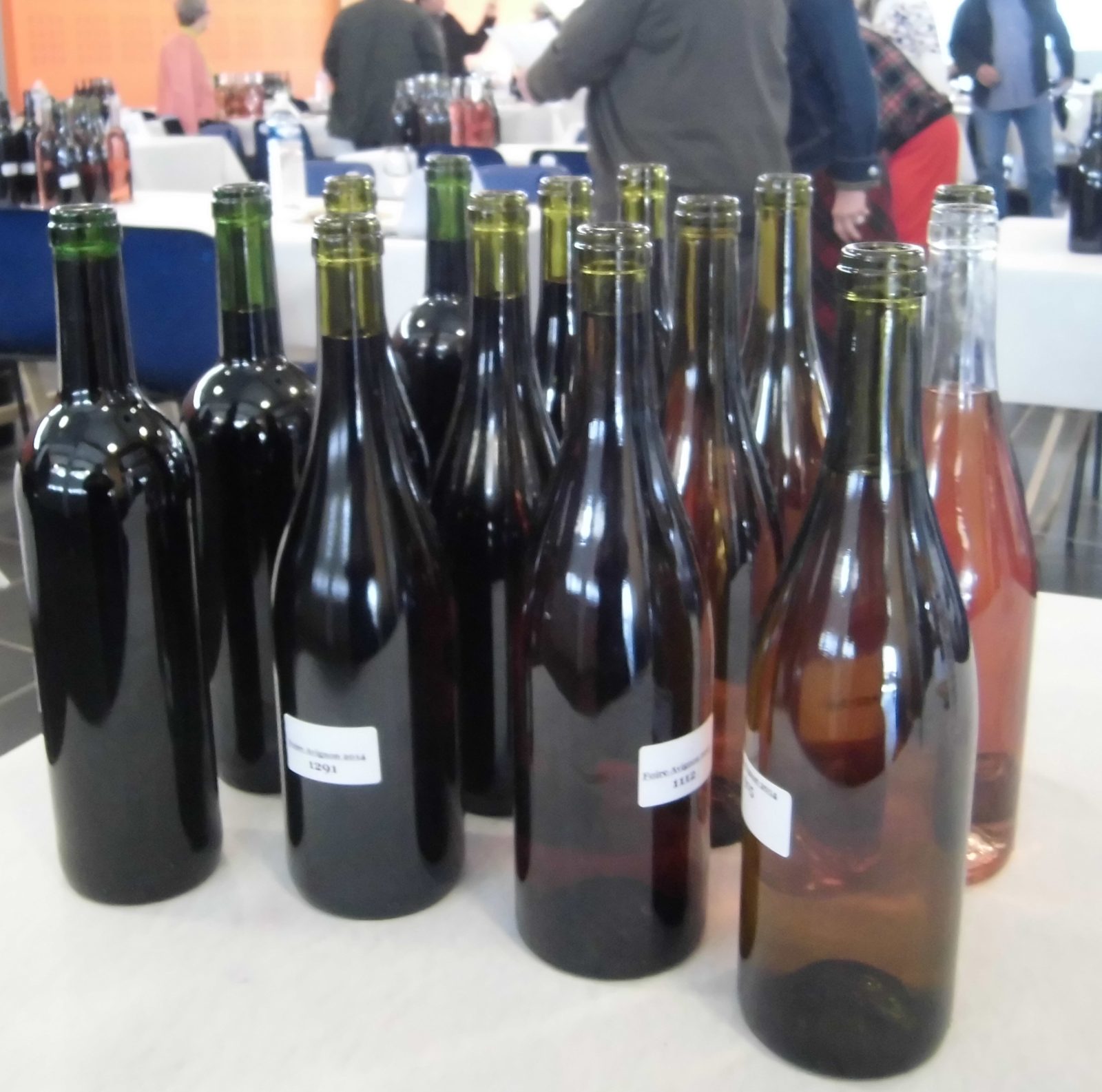 Vignoble des Côtes de Provence avec la montagne Sainte-Victoire en arrière-plan