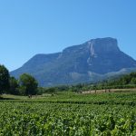 Savoie, la France oubliée du vin : ce que Decanter a révélé sur Apremont cet été