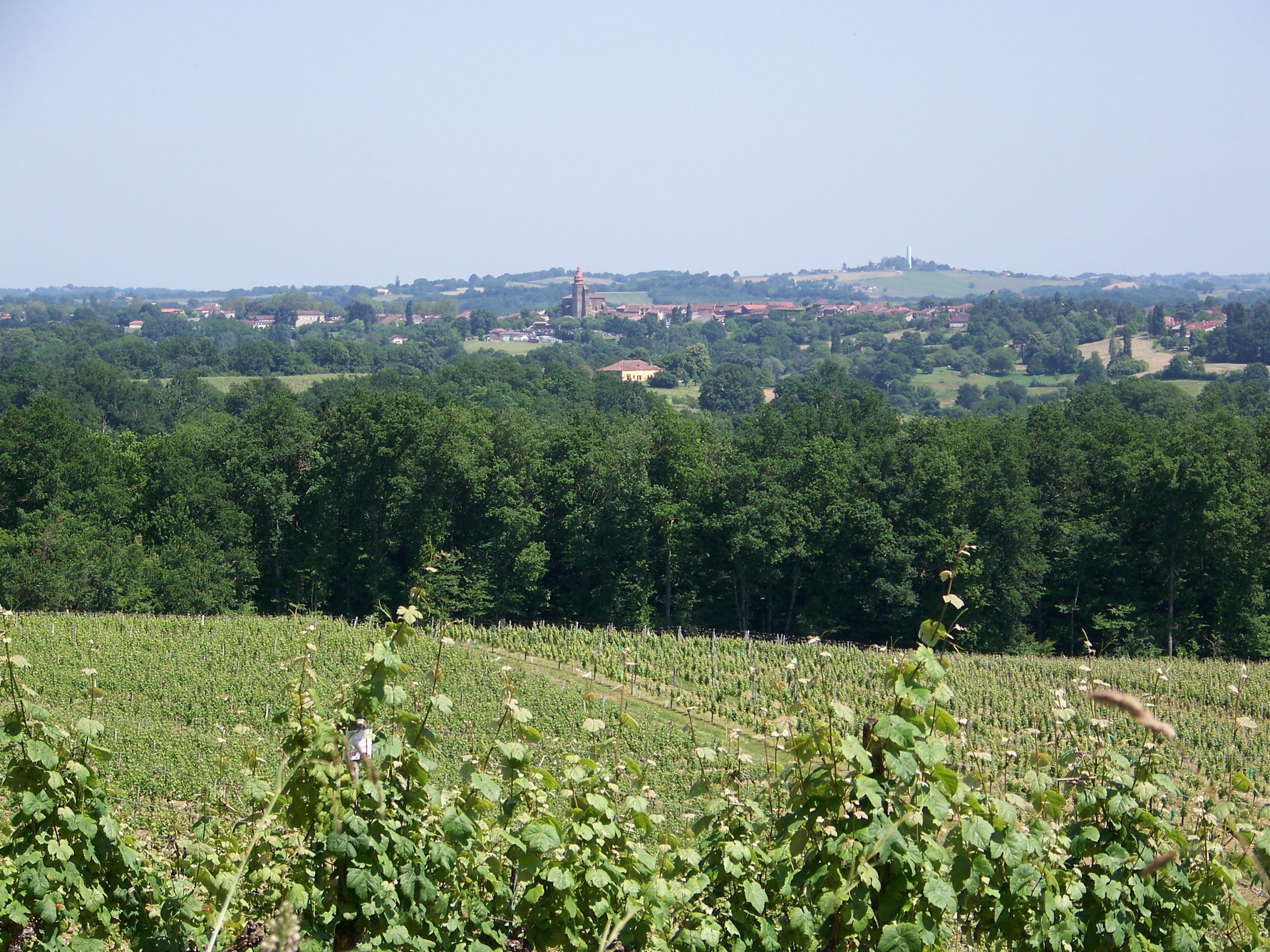Vignoble Cotes de Gascogne Gers
