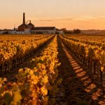 Cognac et Chine : pourquoi les taxes à 32 % font moins mal qu&rsquo;on ne croit (et beaucoup plus en même temps)