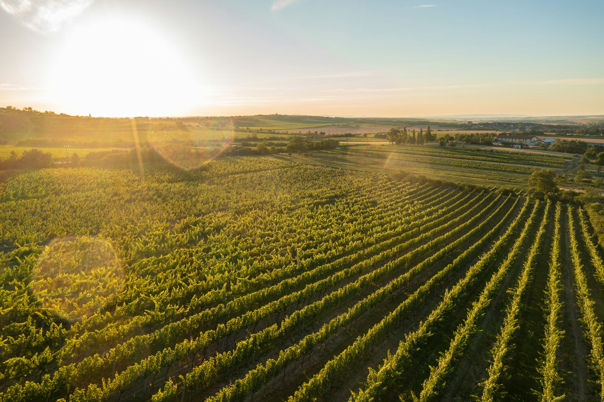drone survolant un vignoble français après autorisation expérimentale 2026