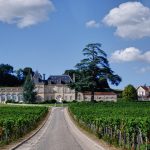 Vignes de Bordeaux à 6 500 €/ha : l’effondrement du foncier viticole en 2026 révélé par la SAFER