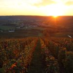 Crémant vs Champagne : les bulles françaises changent de camp — le bilan 2026 qui surprend