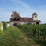 Vendanges 2026 : les vignes françaises sont en avance de trois semaines — ce que ça change pour vous