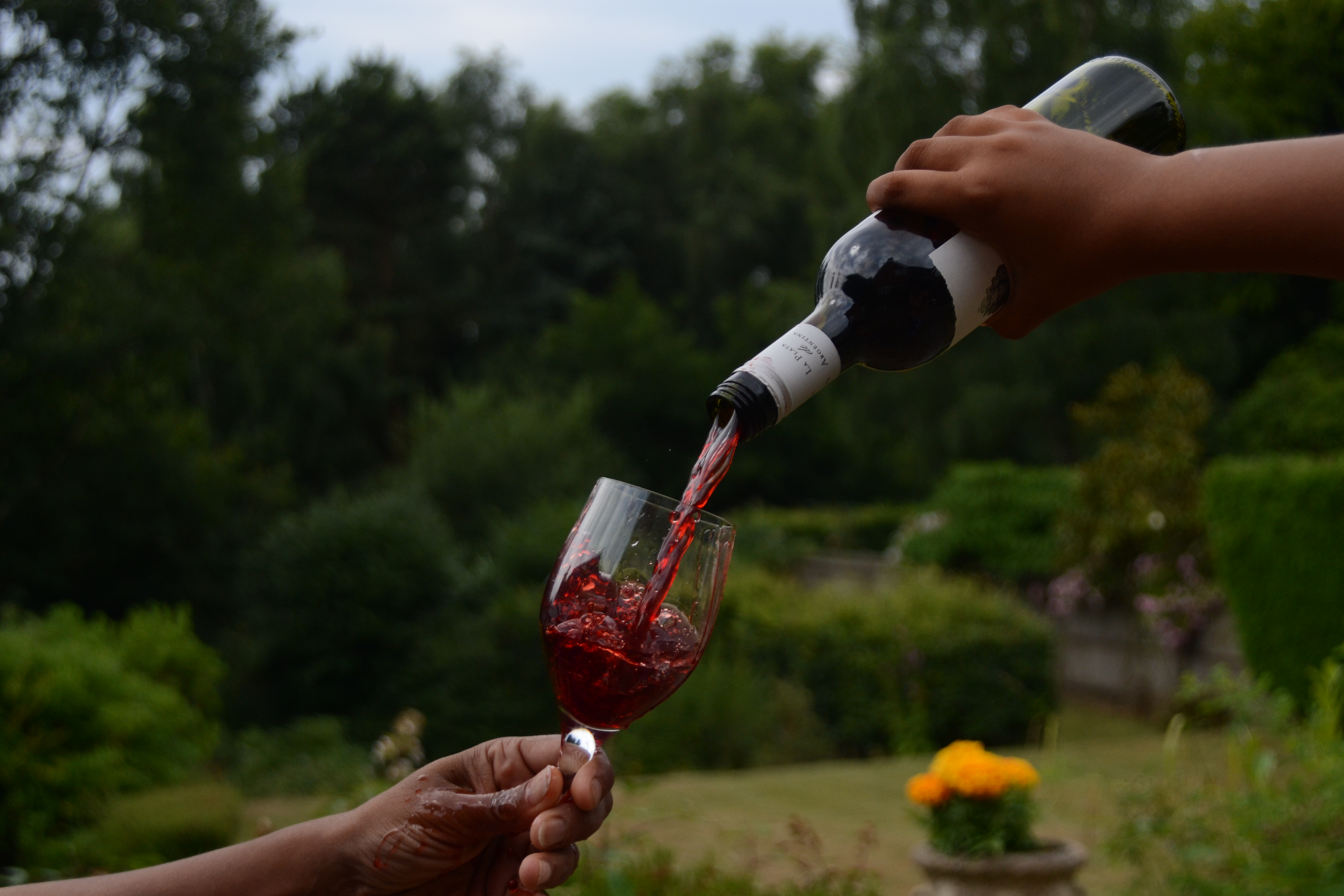 Dégustation de vin rouge à l'aveugle, méthode du Guide Hachette des Vins