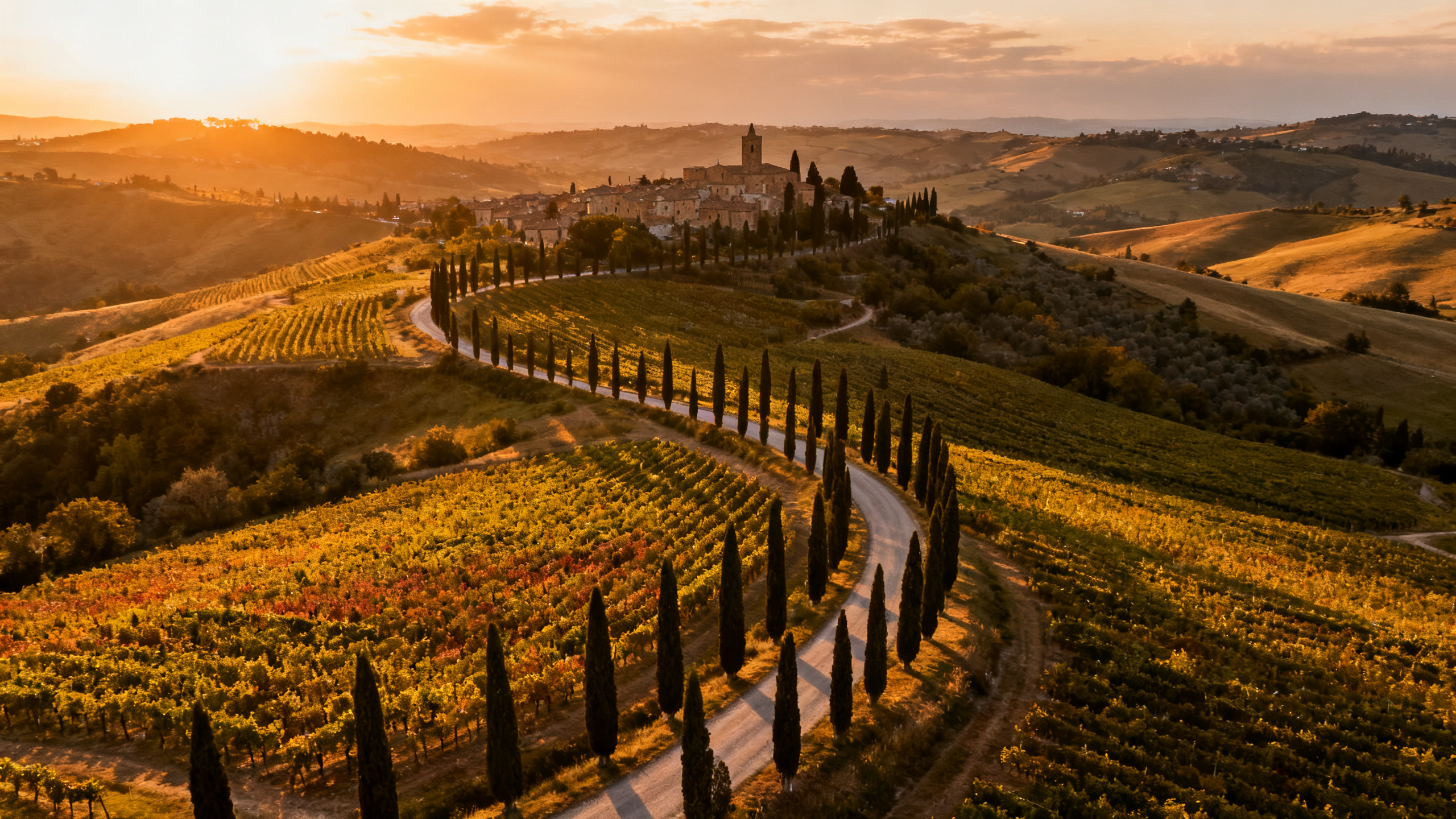 Vignoble toscan avec cyprès et collines en Italie