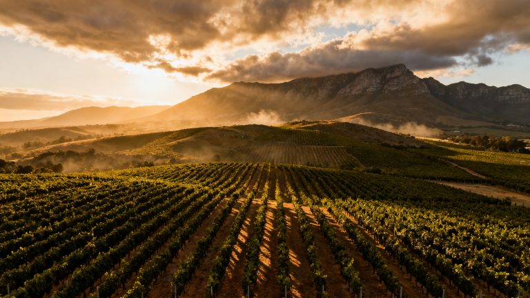 Vignoble de Stellenbosch au coucher du soleil avec les montagnes Helderberg