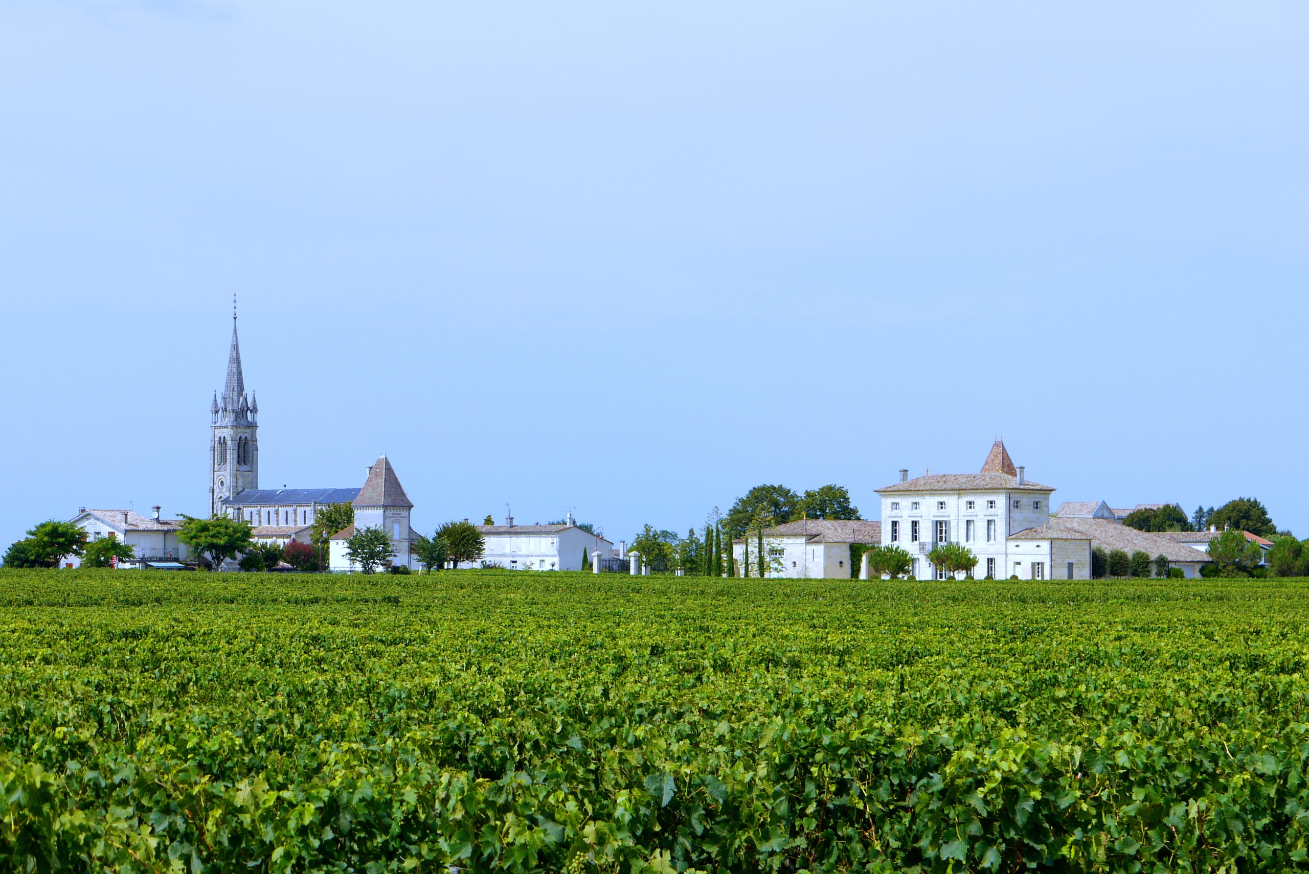 Vignes de Pomerol au coucher du soleil, Gironde