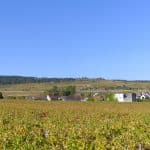 Grêle sur la Côte de Beaune : en 15 minutes, jusqu’à 80 % emporté dans certaines parcelles du millésime 2026