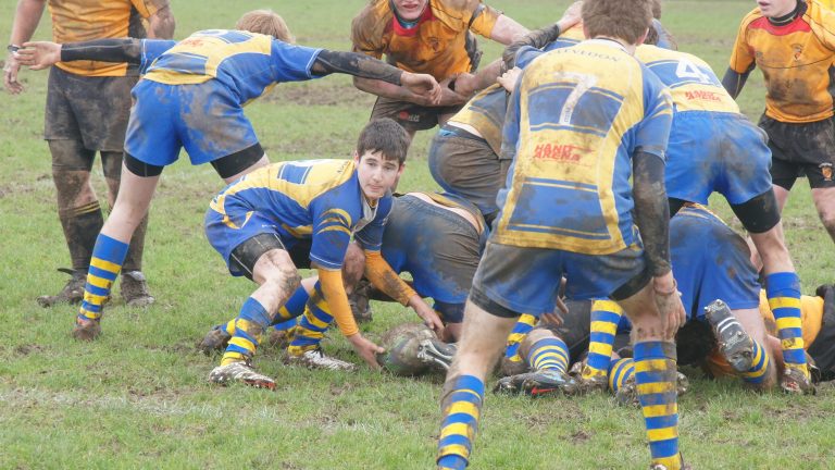 Match de rugby amateur sur terrain herbeux, illustration de la rencontre vignerons-gendarmes