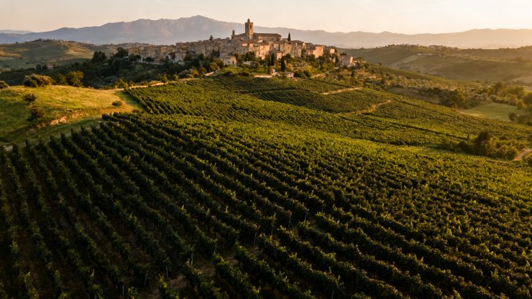 Vignoble de Sagrantino dans les collines de Montefalco, Ombrie, Italie