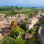 Ils arrachent leurs vignes de Saint-Émilion Grand Cru pour planter des légumes — et ça marche
