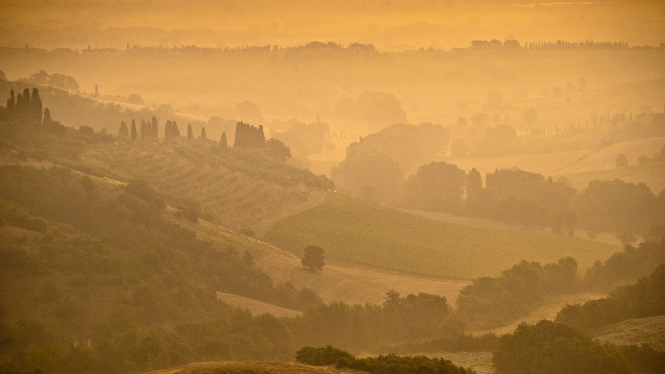 Collines viticoles du Val d'Orcia en Toscane, paysage emblématique de la région du VInoEuro 2026