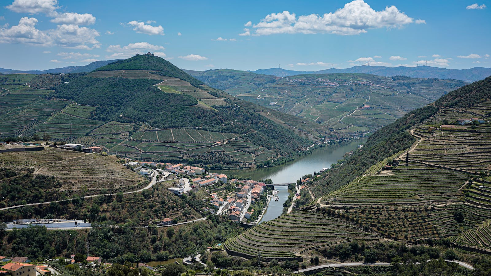 Vignobles en terrasses de la vallée du Douro au Portugal, berceau du vin de Porto