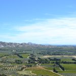 Premier jour de l’été : le rosé de Provence face à sa plus grande crise — ce qui se joue le 3 juillet