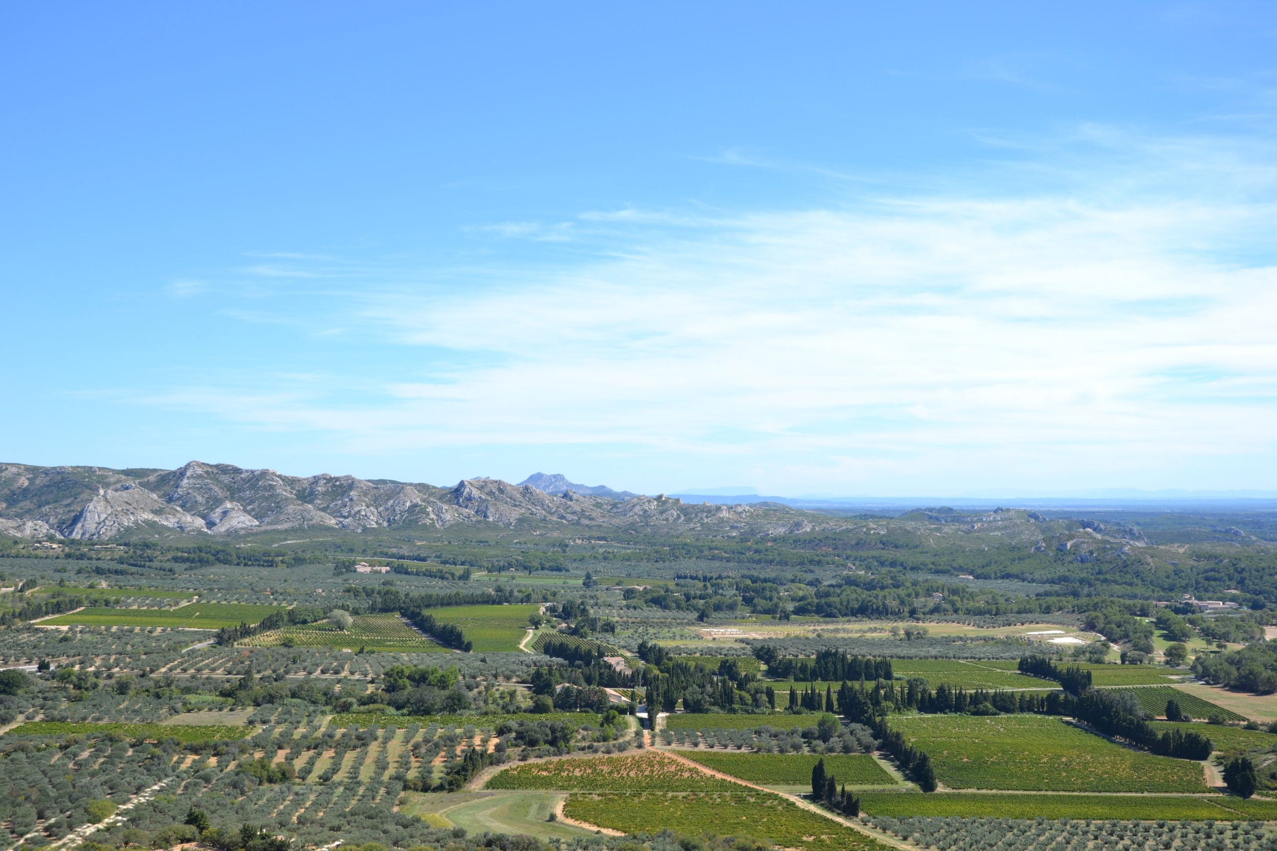 Vignoble des Alpilles en Provence — AOC Côtes de Provence