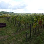Bordeaux autorise jusqu&rsquo;à 7 g/l de sucre résiduel dans ses rouges : révolution ou capitulation ?