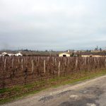 Jean-Charles Morisseau : qui est l’homme qui reprend les rênes de Castel Vins ?