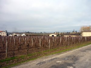 Jean-Charles Morisseau : qui est l&rsquo;homme qui reprend les rênes de Castel Vins ?