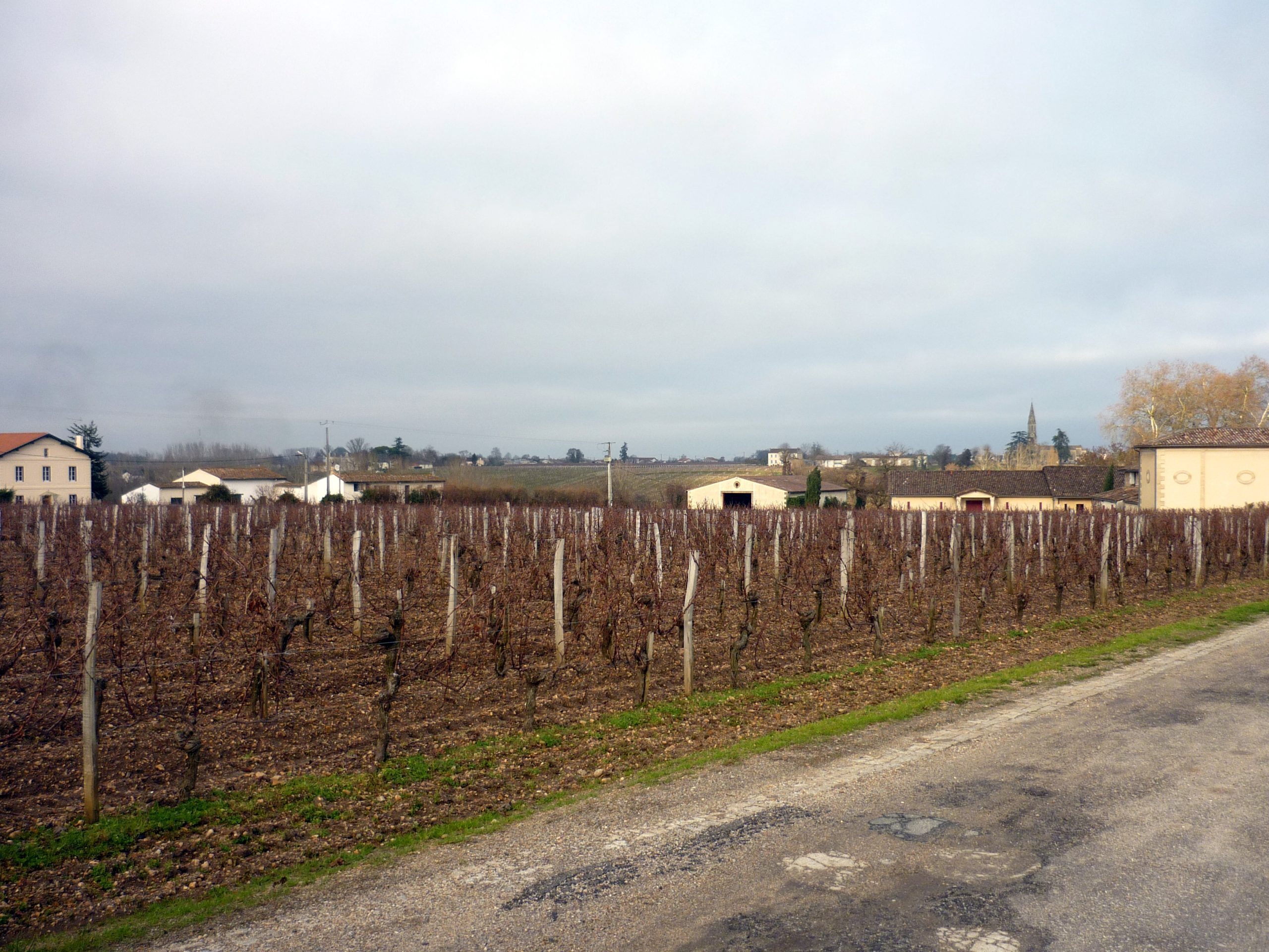Vignoble de Pomerol, Bordeaux – territoire de Bordeaux Vignobles Advisory de Jean-Charles Morisseau