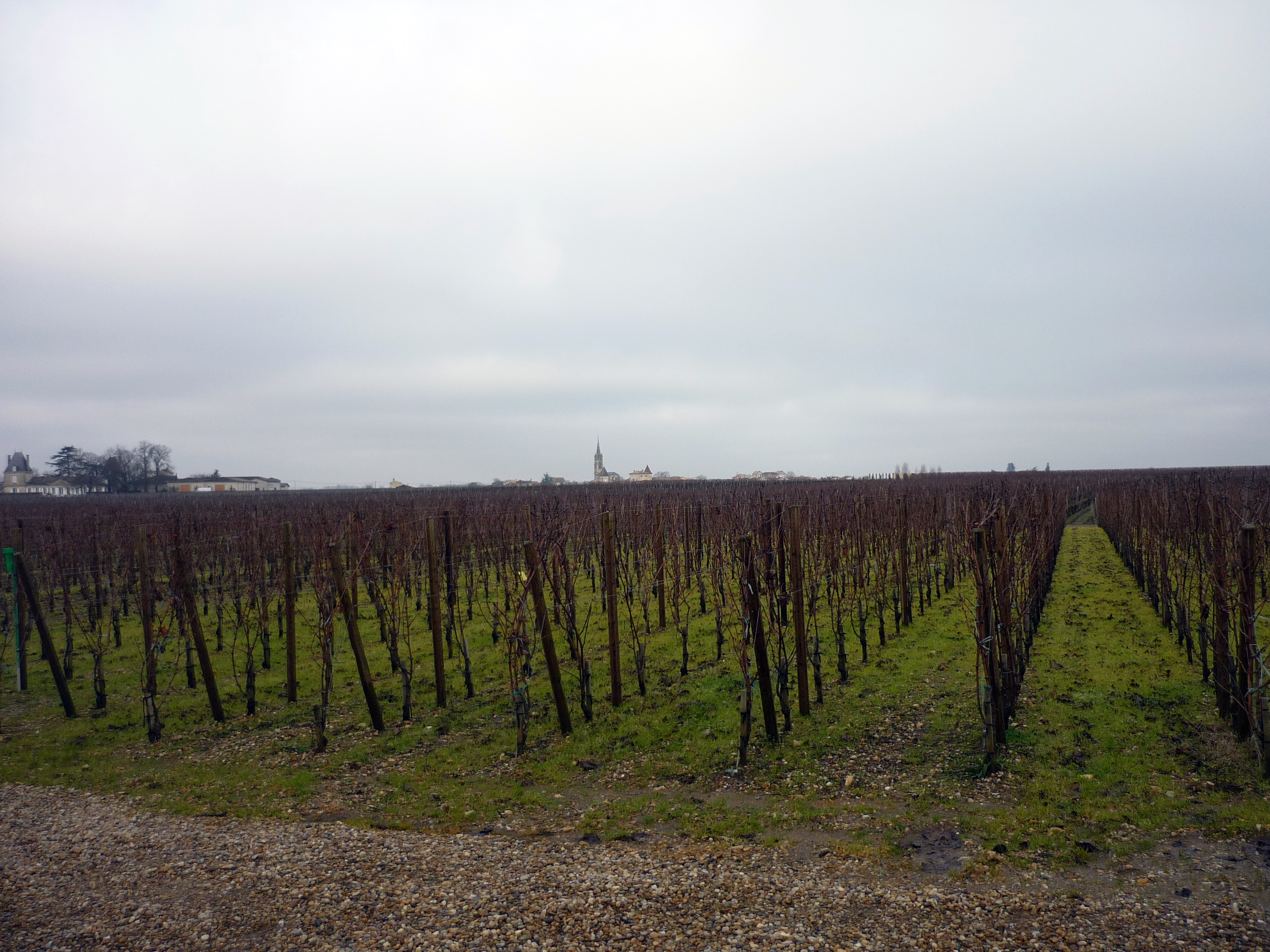 Vignoble de Pomerol, territoire de Bordeaux Vignobles Advisory
